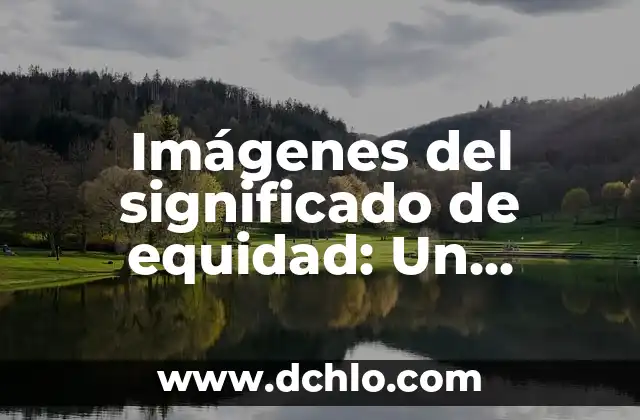 Información de Carácter Monetario: Un Enfoque Integral 4 Imágenes del significado de equidad: Un enfoque visual de la justicia social