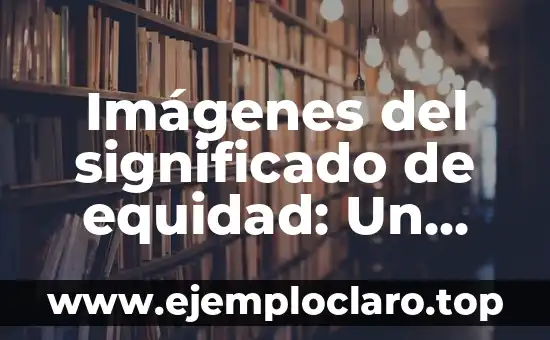 Imágenes del significado de equidad: Un enfoque visual de la justicia social
