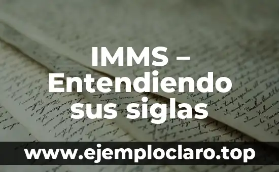 IMMS – Entendiendo sus siglas