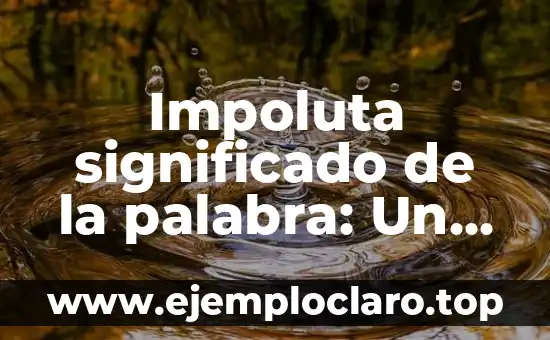 Impoluta significado de la palabra: Un análisis detallado y completo