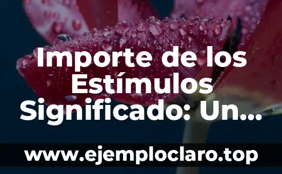Importe de los Estímulos Significado: Un Enfoque Integral