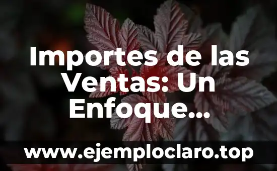 Importes de las Ventas: Un Enfoque Integral