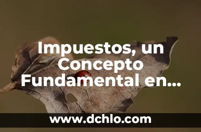 Quebrantado de Corazón: Un Concepto Bíblico Fundamental 7 Impuestos, un Concepto Fundamental en las Finanzas Públicas