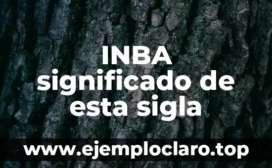 Importe de los Estímulos Significado: Un Enfoque Integral 8 INBA significado de esta sigla