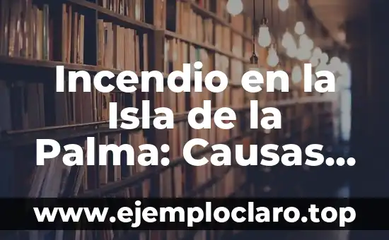 Incendio en la Isla de la Palma: Causas, Consecuencias y Prevención