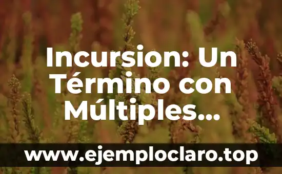 Incursion: Un Término con Múltiples Facetas