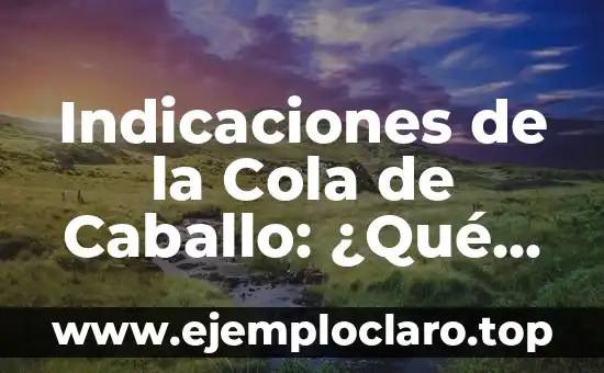 ¿La Coca Cola es Buena para la Diarrea? Descubre la Verdad 7 Indicaciones de la Cola de Caballo: ¿Qué Es y Cómo Funciona?