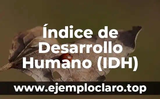 El significado del desarrollo de mecanismos sociales 8 Índice de Desarrollo Humano (IDH)