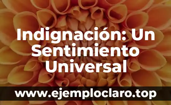 Indignación: Un Sentimiento Universal