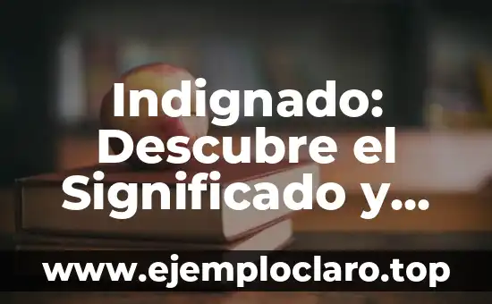 Instrumentos Musicales: Descubre el Significado de Cada Uno 4 Indignado: Descubre el Significado y Connotaciones de la Palabra