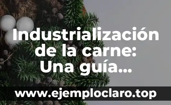 Cómo hacer carne de cerdo en olla de presión 3 Industrialización de la carne: Una guía completa