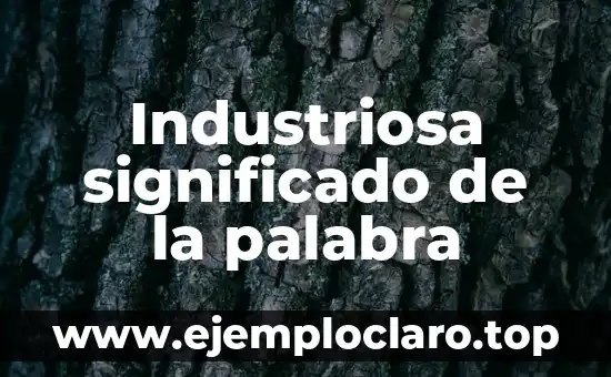 Industriosa significado de la palabra