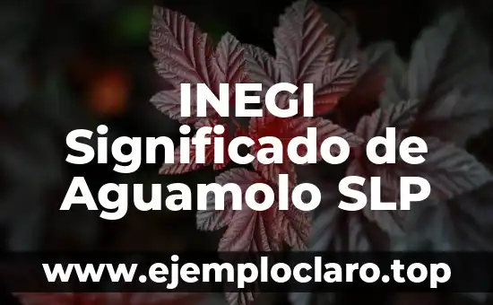 INEGI Significado de Aguamolo SLP
