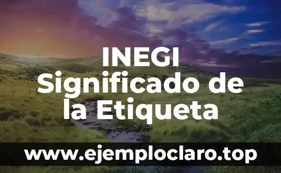 INEGI Significado de la Etiqueta