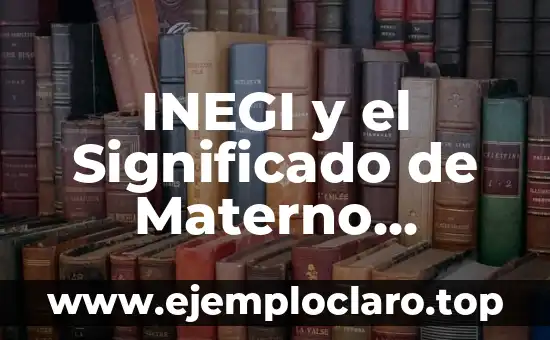INEGI y el Significado de Materno Infantil