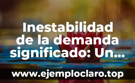Inestabilidad de la demanda significado: Un fenómeno clave en economía