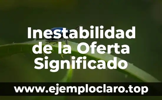 Inestabilidad de la Oferta Significado