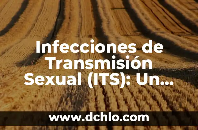 Instituciones de salud y su importancia en la sociedad 4 Infecciones de Transmisión Sexual (ITS): Un Tema de Salud Pública