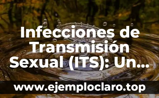 Infecciones de Transmisión Sexual (ITS): Un Tema de Salud Pública