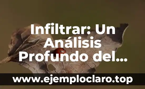 Infiltrar: Un Análisis Profundo del Significado y sus Implicaciones