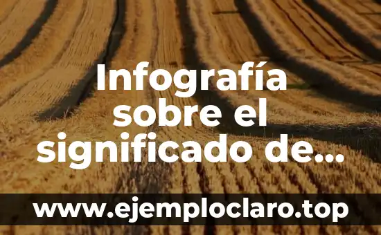 Concepto y Significado de una Infografía 4 Infografía sobre el significado de la adicción