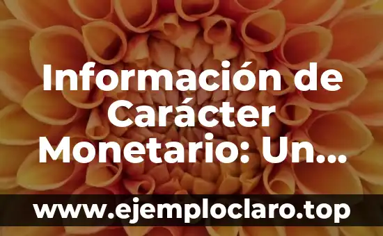 Información de Carácter Monetario: Un Enfoque Integral