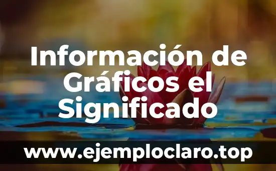 Información de Gráficos el Significado
