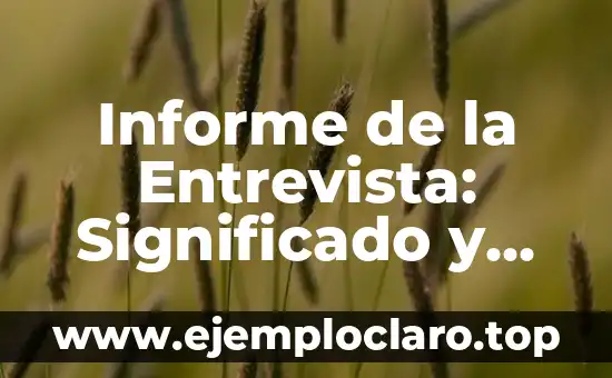 Informe de la Entrevista: Significado y Guía Completa
