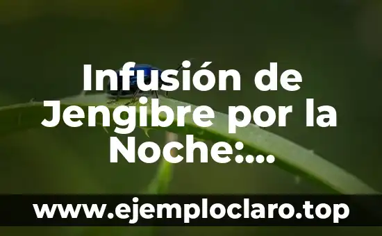Tomar Jengibre por la Noche es Malo: Descubre la Verdad 4 Infusión de Jengibre por la Noche: Beneficios y Preparación