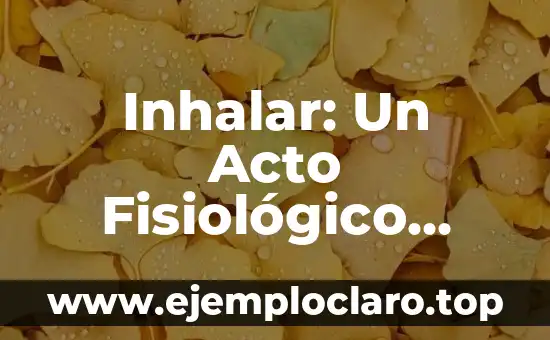 Inhalar: Un Acto Fisiológico Esencial