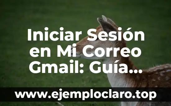Iniciar Sesión en Mi Correo Gmail: Guía Detallada y Segura