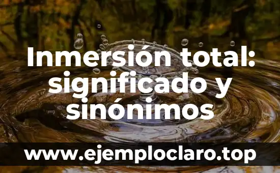 Inmersión total: significado y sinónimos