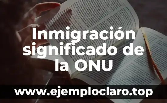 Inmigración significado de la ONU