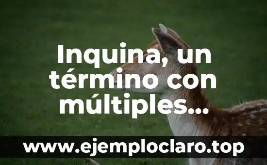 Inquina, un término con múltiples facetas