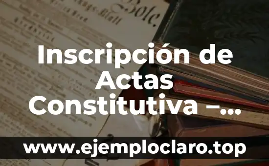 Inscripción de Actas Constitutiva - Todo lo que Necesitas Saber