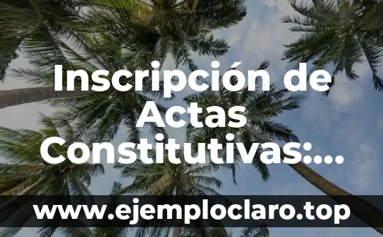 Inscripción de Actas Constitutiva - Todo lo que Necesitas Saber 4 Inscripción de Actas Constitutivas: Un Concepto Fundamental