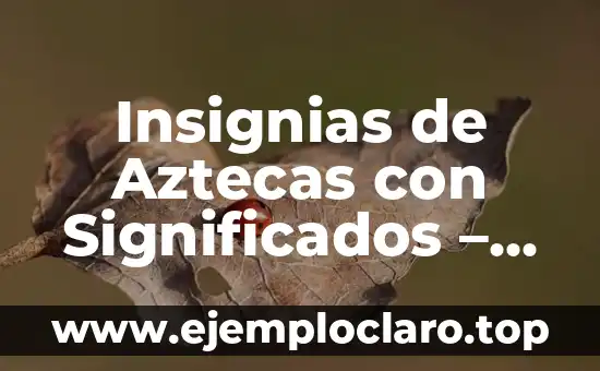 Insignias de Aztecas con Significados - Descubre su Profundo Simbolismo