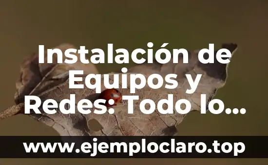 Instalación de Equipos y Redes: Todo lo que Necesitas Saber