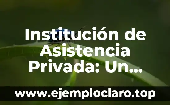 Institución de Asistencia Privada: Un Enfoque Integral