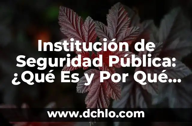 Significado de los derechos de seguridad social 4 Institución de Seguridad Pública: ¿Qué Es y Por Qué Es Importante?