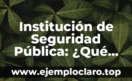 Institución de Seguridad Pública: ¿Qué Es y Por Qué Es Importante?