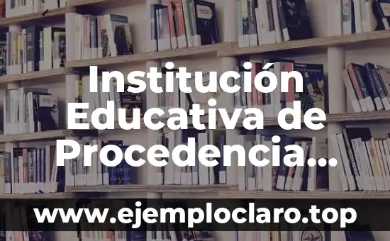 Institución Educativa de Procedencia Significado