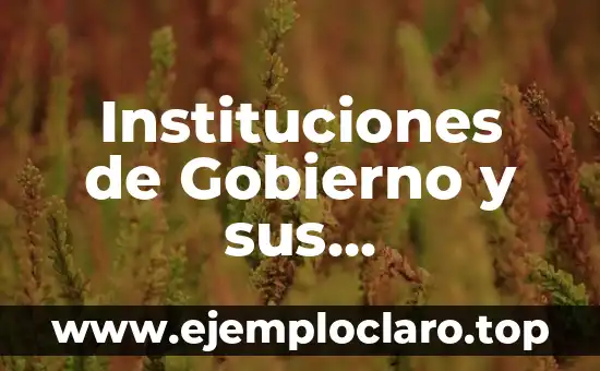 Instituciones de Gobierno y sus Significados