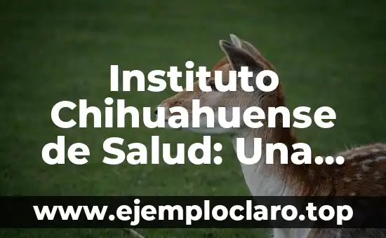 Instituto Chihuahuense de Salud: Una mirada integral a su significado