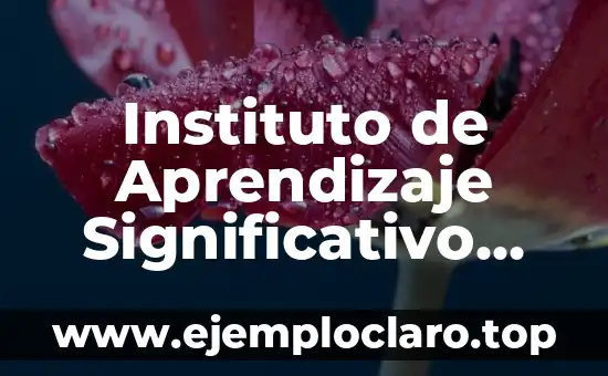 Instituto de Aprendizaje Significativo Silao