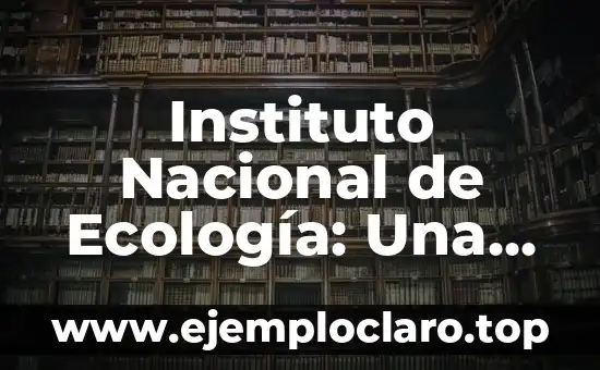 Introducción al significado de un grupo 5 Instituto Nacional de Ecología: Una Breve Introducción