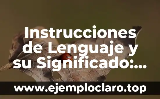 Supervisión gubernamental: Una guía completa 7 Instrucciones de Lenguaje y su Significado: Una Guía Completa