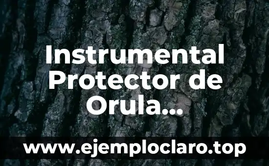 Instrumental Protector de Orula Significado