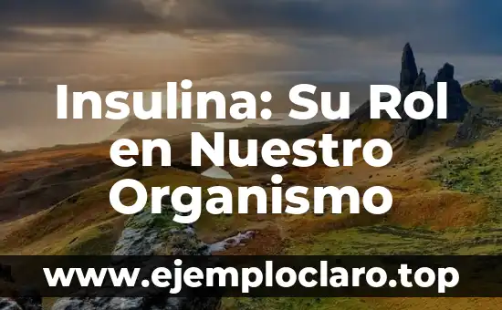 Insulina: Su Rol en Nuestro Organismo