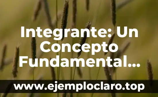 Integrante: Un Concepto Fundamental en Diversas Disciplinas